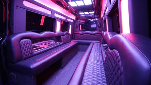 bolingbrook sprinter limo rental rental